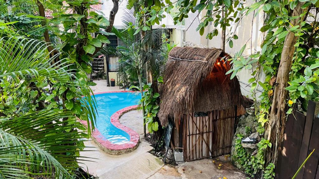 Hotel B&B - Playa del carmen